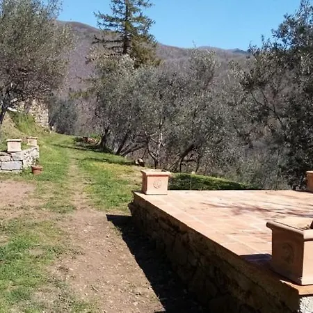 Camping “la Tana Del Lupo” Arezzo