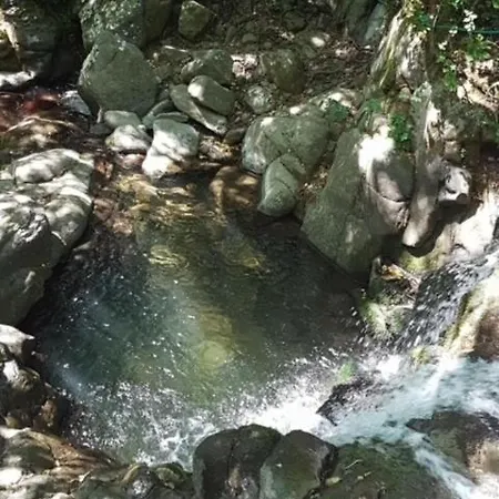 Camping “la Tana Del Lupo” *