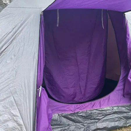 Camping “la Tana Del Lupo” Campeggio Arezzo